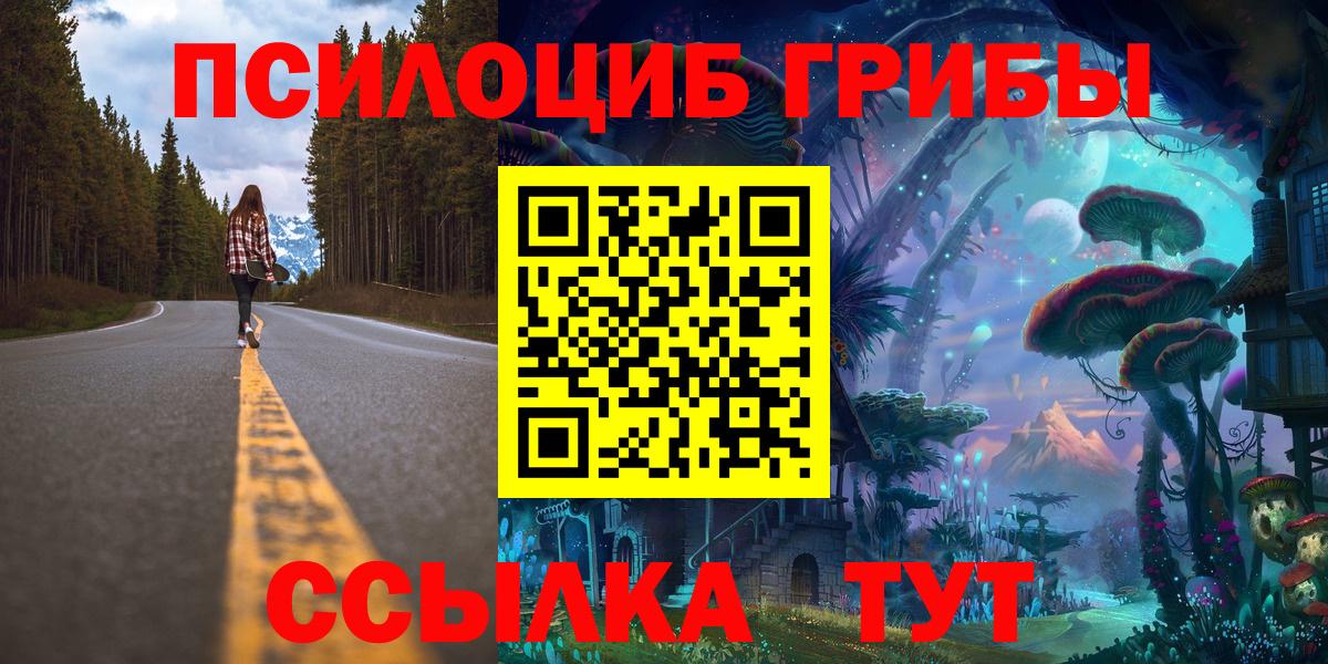 Галлюциногенные грибы мухоморы  Вход с VPN  Псилоцибиновые грибы ЛСД  дарнет шоп  Елизово 